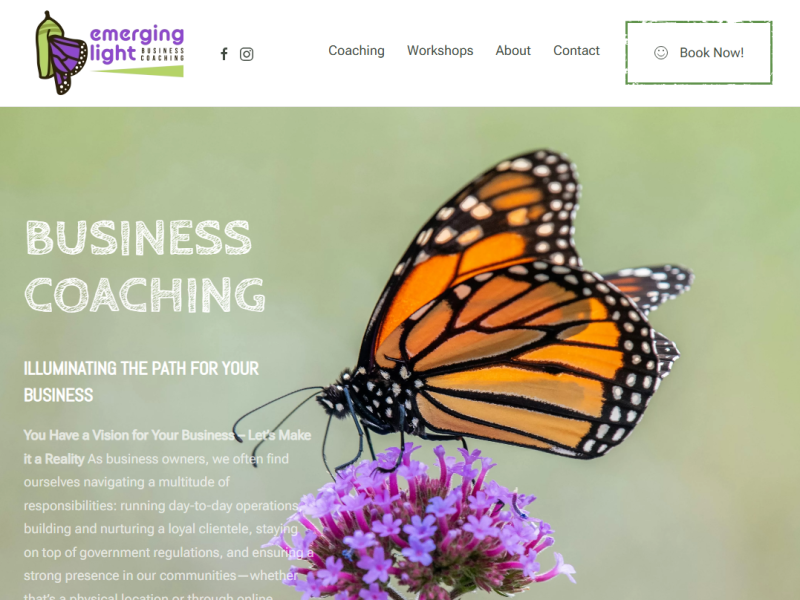 Professional Business Coach Website